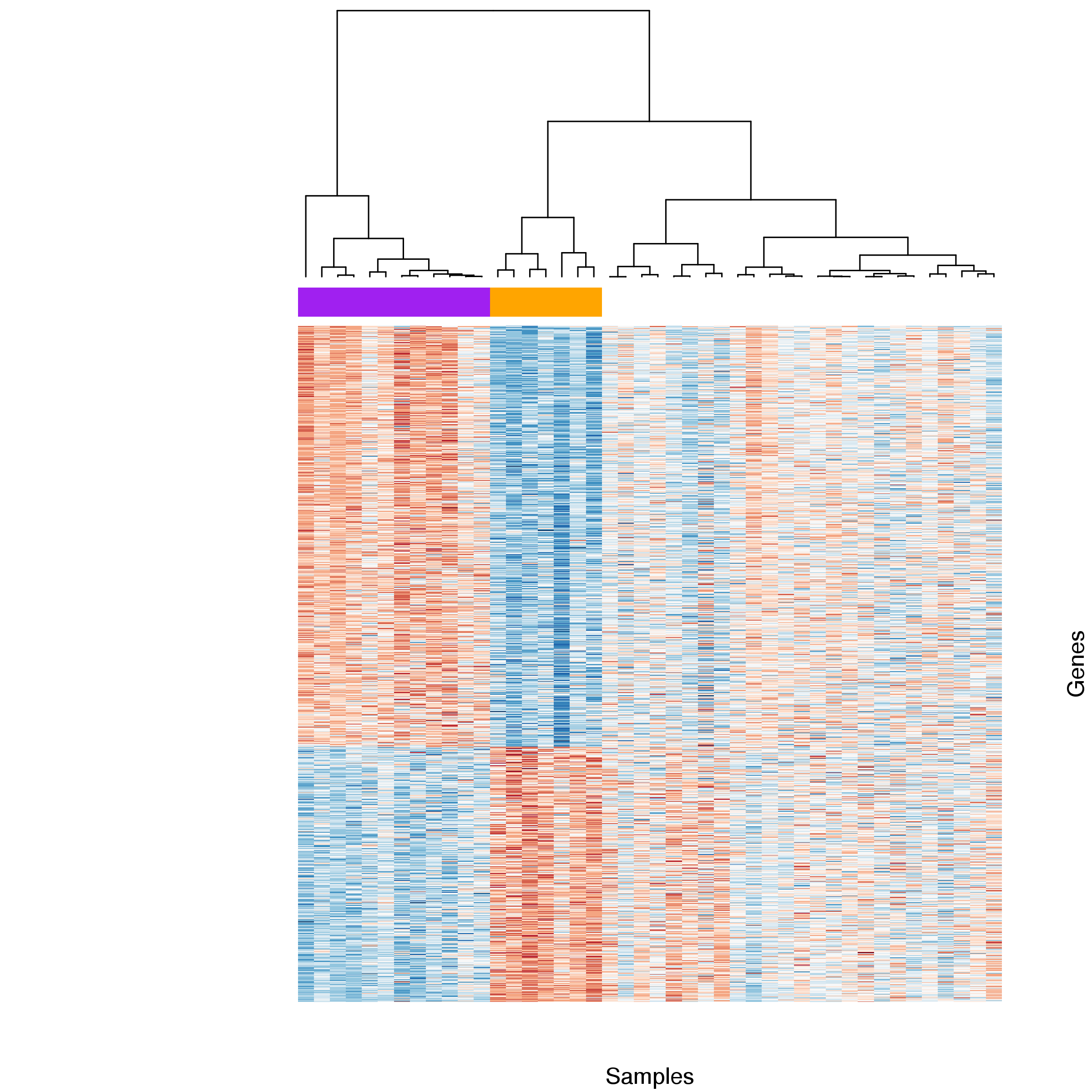 **Figure 18:** Heatmap comparing gene expression for genes differentially expressed between clusters 1 and 2. Expression estimates for each gene were scaled and centred across samples. Blue cells correspond to lower and red cells to higher than average expression.