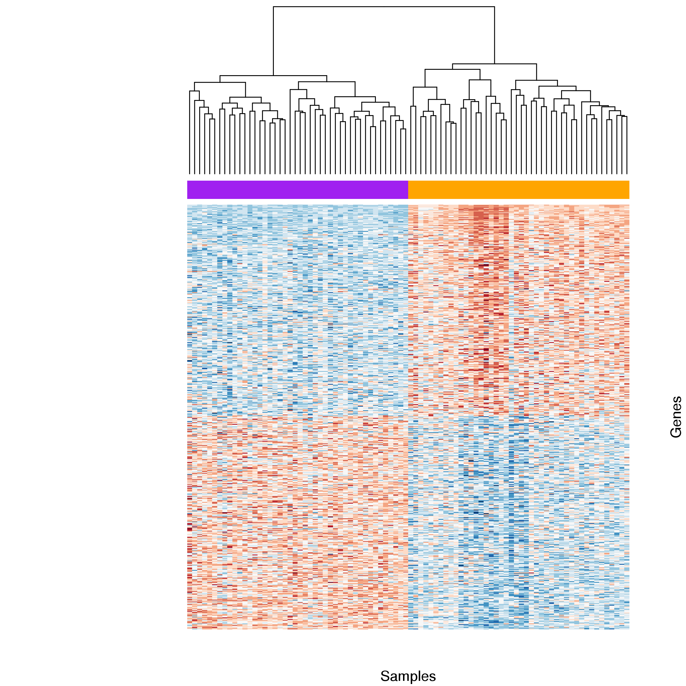 **Figure 10:** Heatmap comparing gene expression for differentially expressed genes between basal and stimulated samples. Samples were clustered by gene  with stimulated (orange) and basal (purple) samples forming two distinct groups. Expression estimates for each gene were scaled and centred across samples. Blue cells correspond to lower and red cells to higher than average expression.
